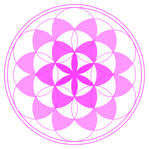 QuantumLOVE Product Line